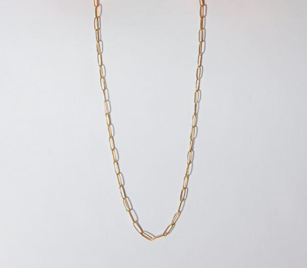 A long gold chain necklace with a small link.