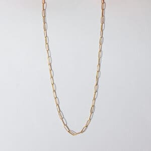 A long gold chain necklace with a small link.